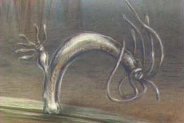 Kra27.at