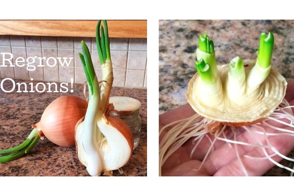 Купить наркоту