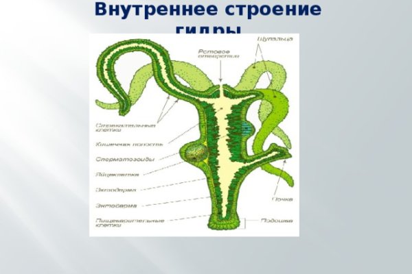Kra37cc