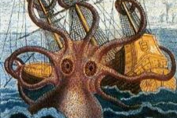 Kraken 24at