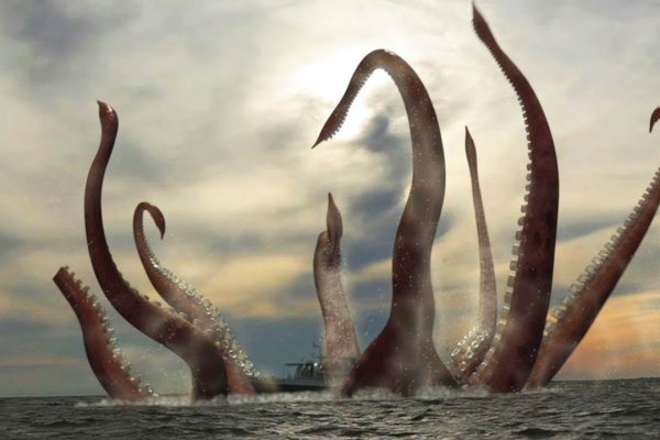 Кракен даркнет store kraken dark link