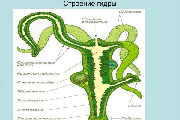 Ссылка на кракен шоп