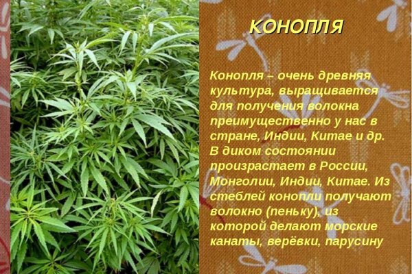 Магазин веществ кракен
