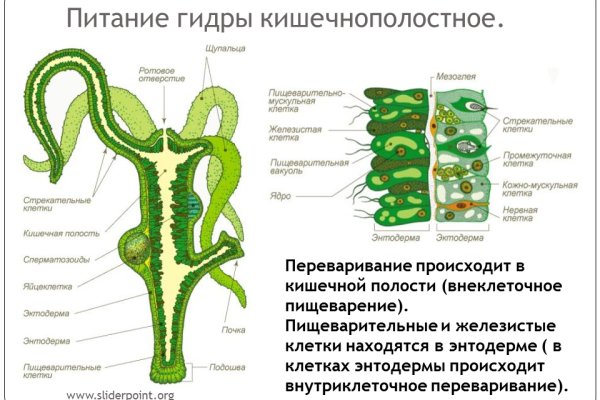 Кракен сайт наркотиков