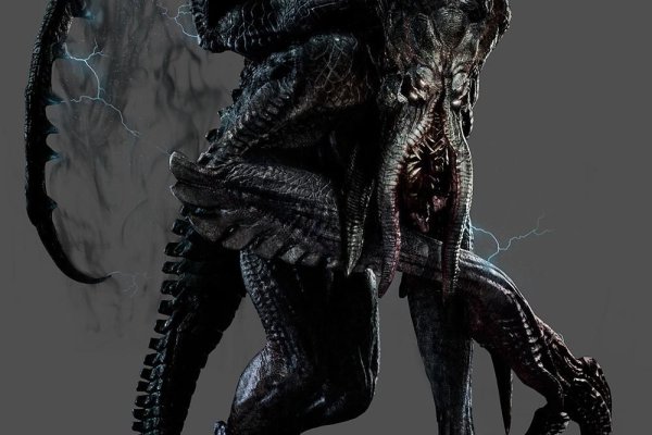 Hydra kraken