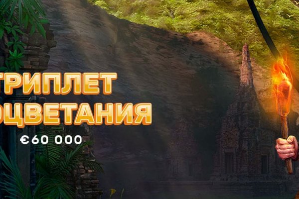 Кракен даркнет отзывы