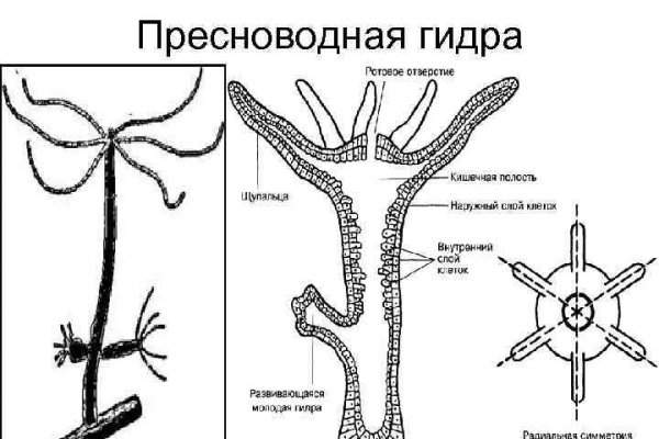 Кракен сайт покупок