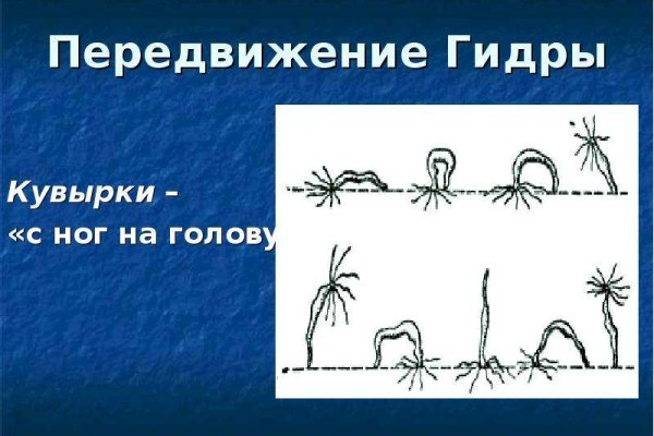 Kraken istand onion